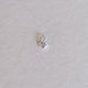 Shell Charm - Set of 2