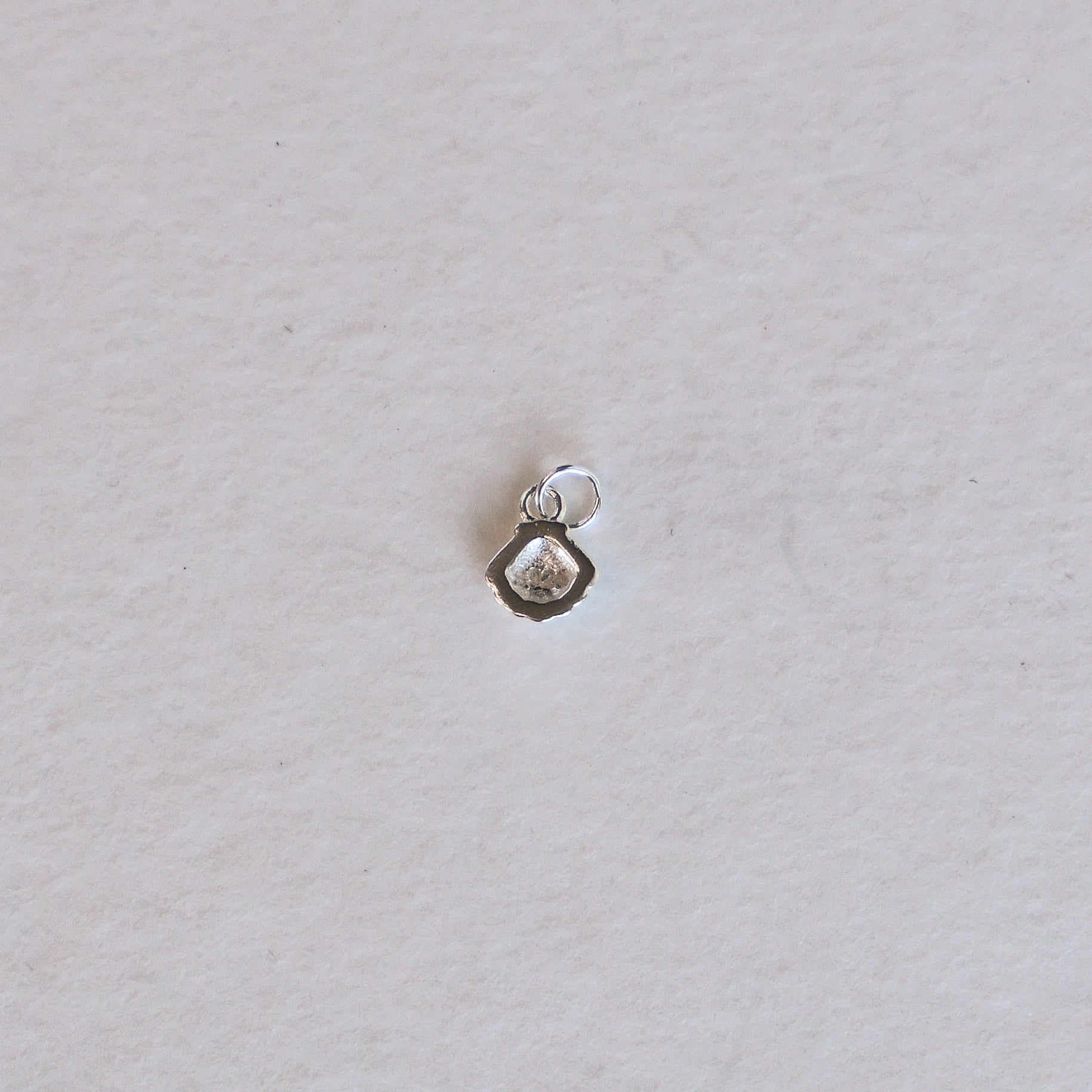 Shell Charm - Set of 2